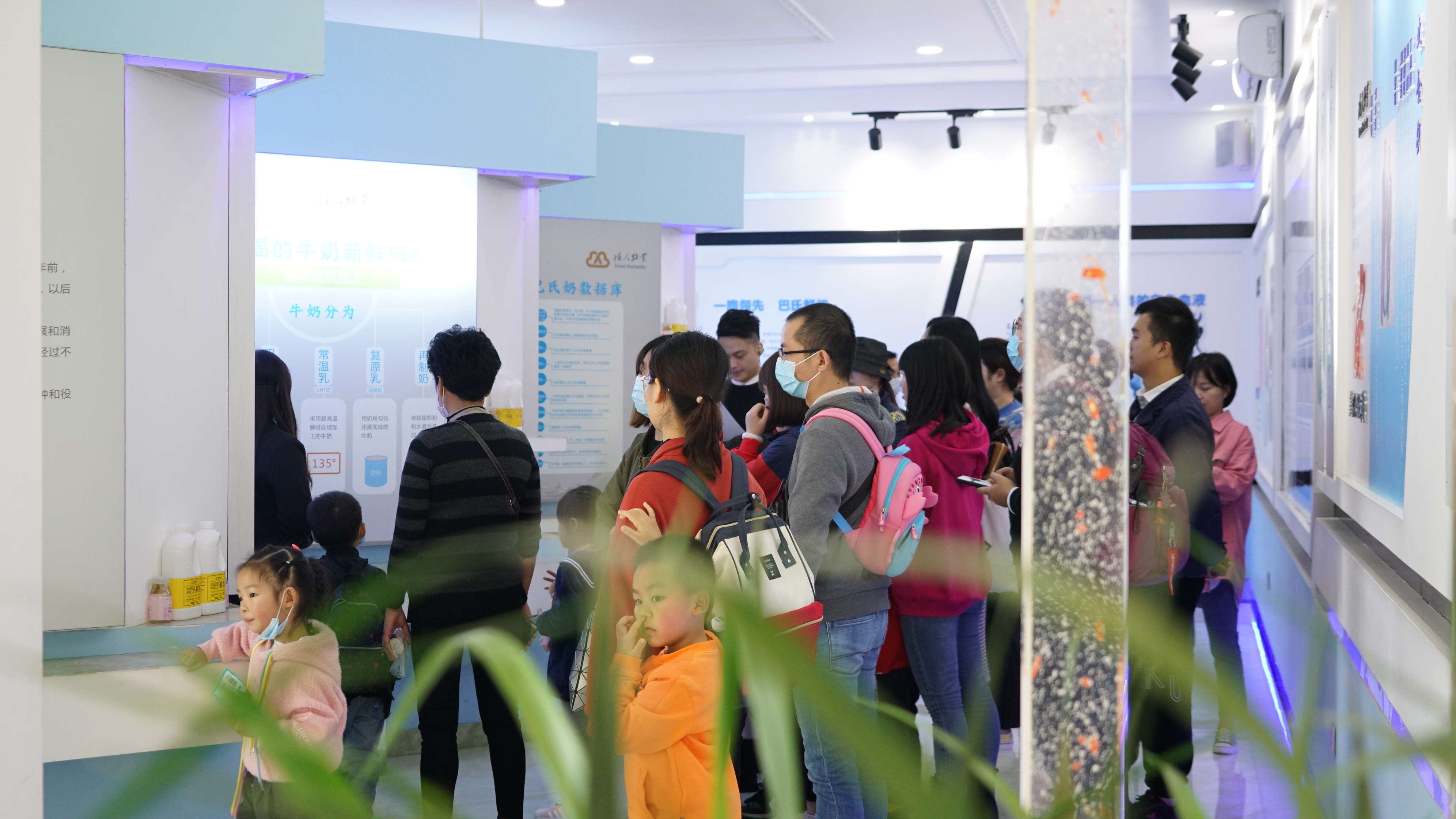 參觀奶牛科普館